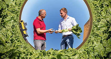 Un conseiller de Strube et un agriculteur discutent dans le champ de betteraves