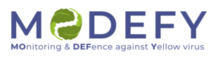 Project MODEFY logo