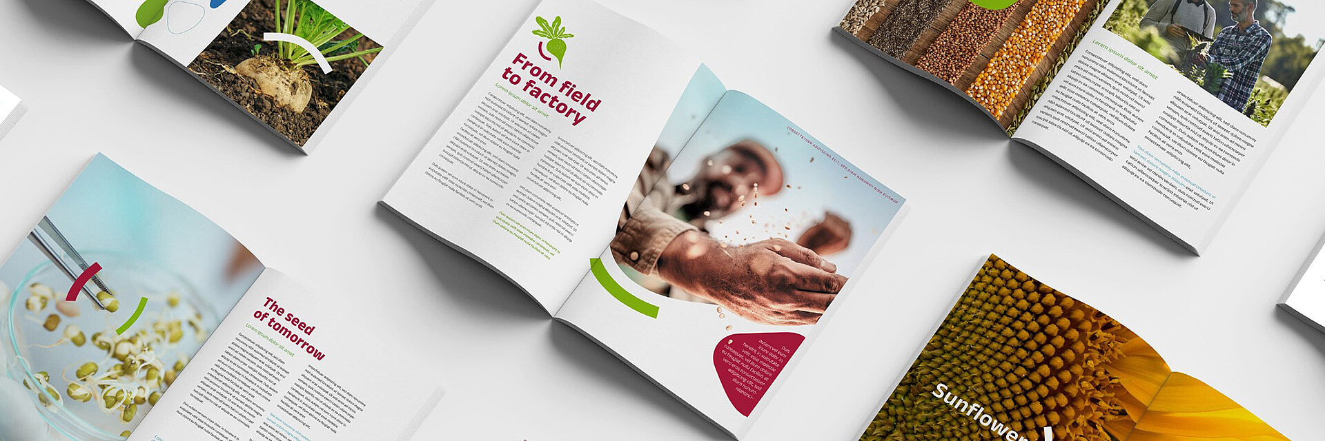 Brochures and flyers from Strube and Mobiltelefon