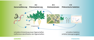 Grafik mit den Überschneidungen der Genomik und Phenomik