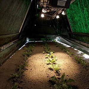 Plant laser scanner