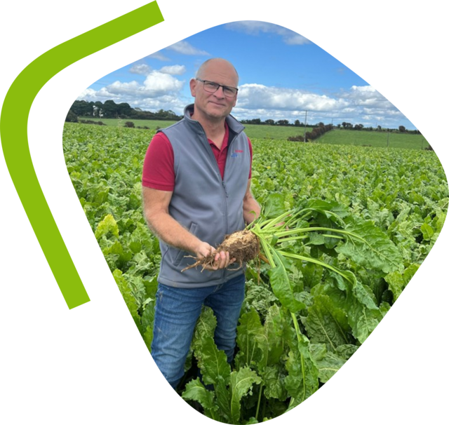 Richard Cogman with fodder beet variety Gahan in the field in UK Richard Cogman with fodder beet variety Gahan in the field in UK