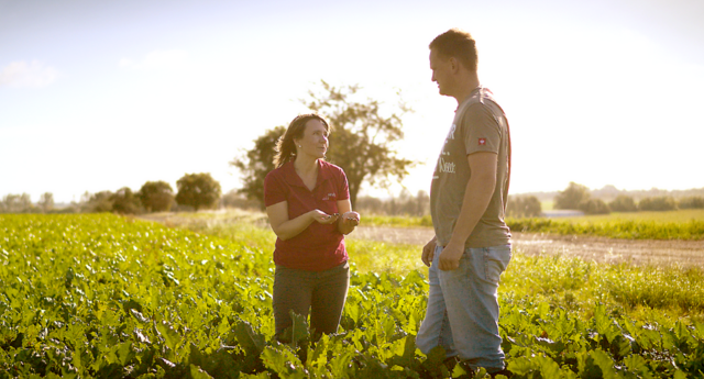 Farmer with breeder on the field