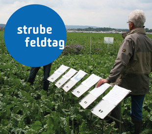 Strube Feldtag Timmern 2018