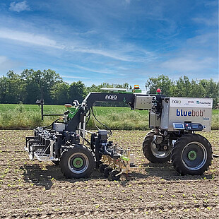 Six-row weeding with autonomously navigating field robot 