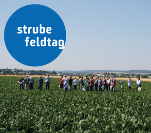 Strube Feldtag in Klein Bünzow