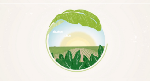 Sustainable with our Vitaly varieties