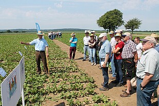 Strube Saatzucht Feldtag in Asel Beratung Zuckerrübe Vorstellung Herbizidversuche