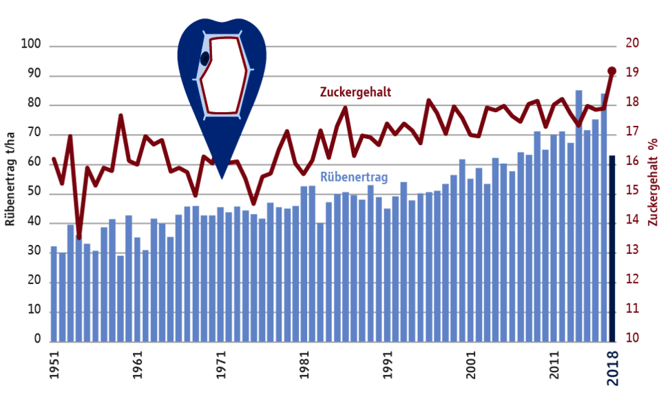 Zuckergehalt und Rübenertrag in Deutschland 2018