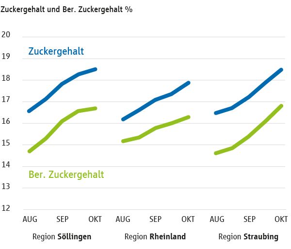 Grafik: Entwicklung von Zuckergehalt und Ber. Zuckergehalt nach Proberodungen von Mitte August bis Mitte Oktober, Strube Proberodungen 2010 - 201920
