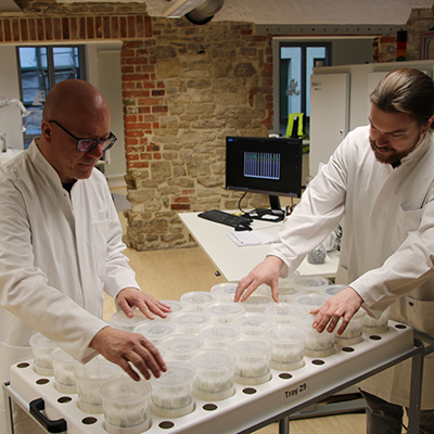 Strube Saatzucht: Seed quality research in the phenoLab